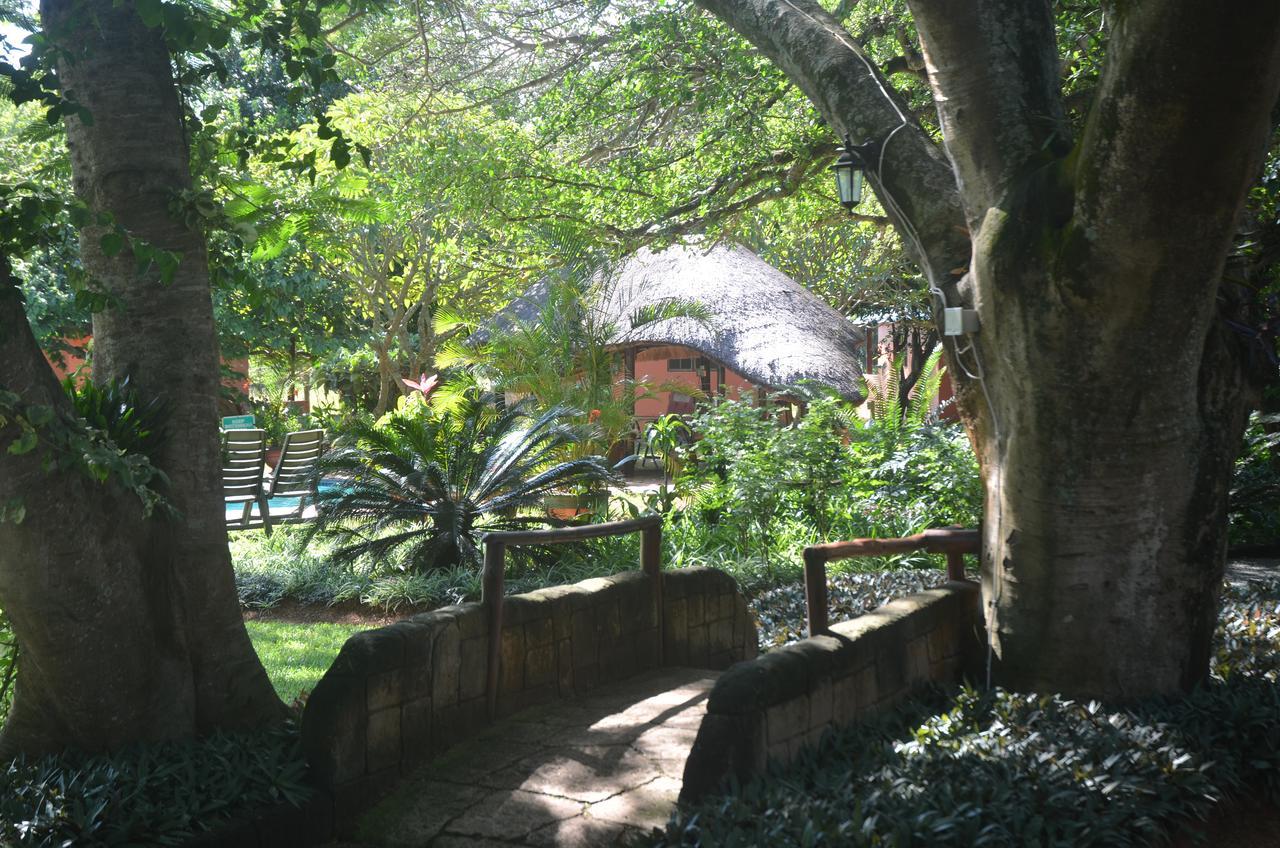 Bushbaby Lodge & Camping Hluhluwe Exterior foto